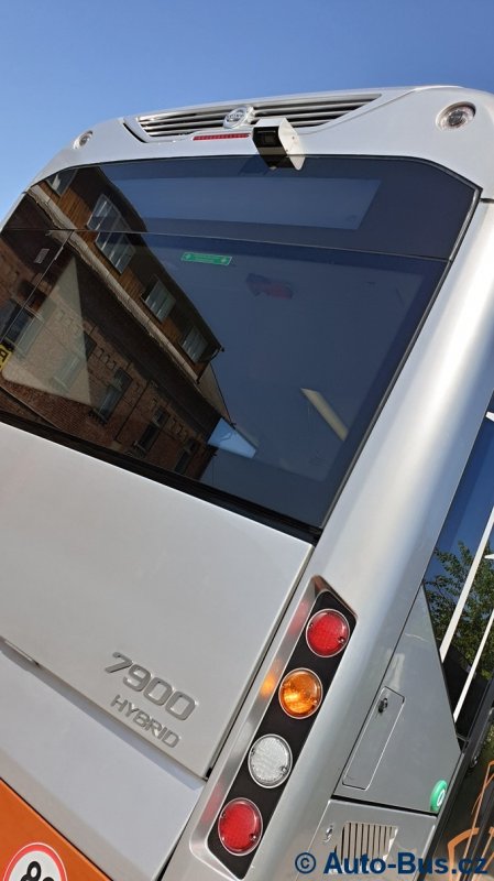 hybrid 28429