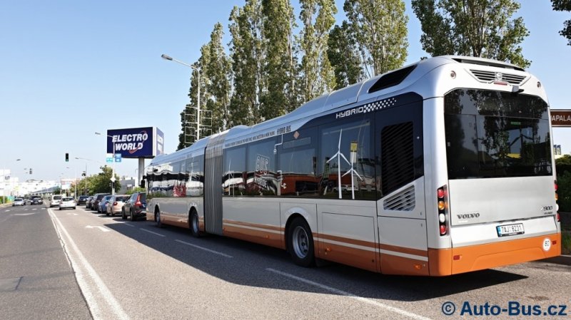 hybrid 28829