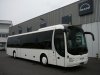 MAN - Stenbus