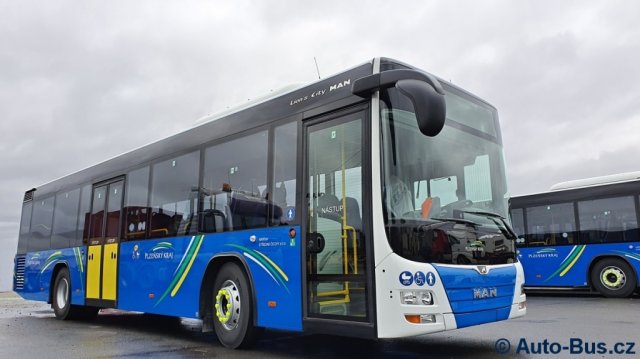 MAN - Lions City 2020