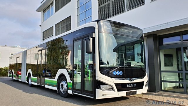 MAN  Lions City Z-Group